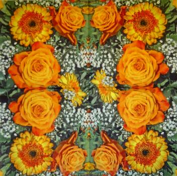 522 Rosen - 3-lagig ( orange) - ti-flair